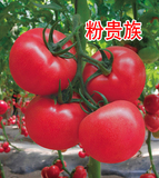 文章附圖